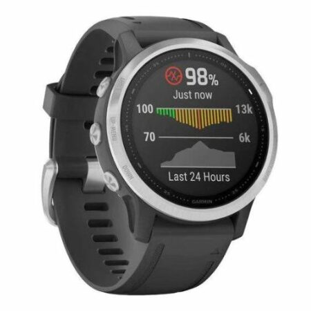 Garmin Fenix 6s